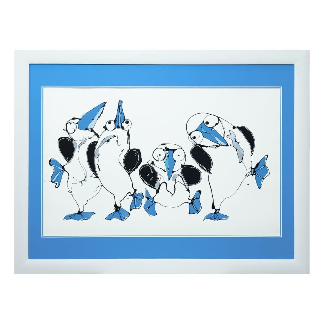 青足カツオドリ