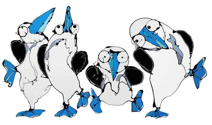 青足カツオドリ