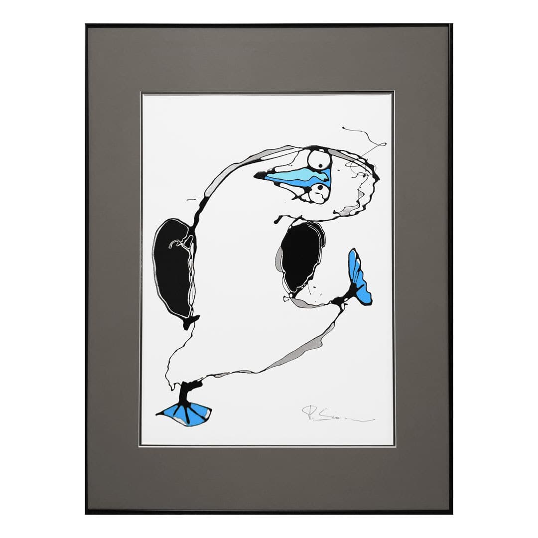 青足カツオドリ